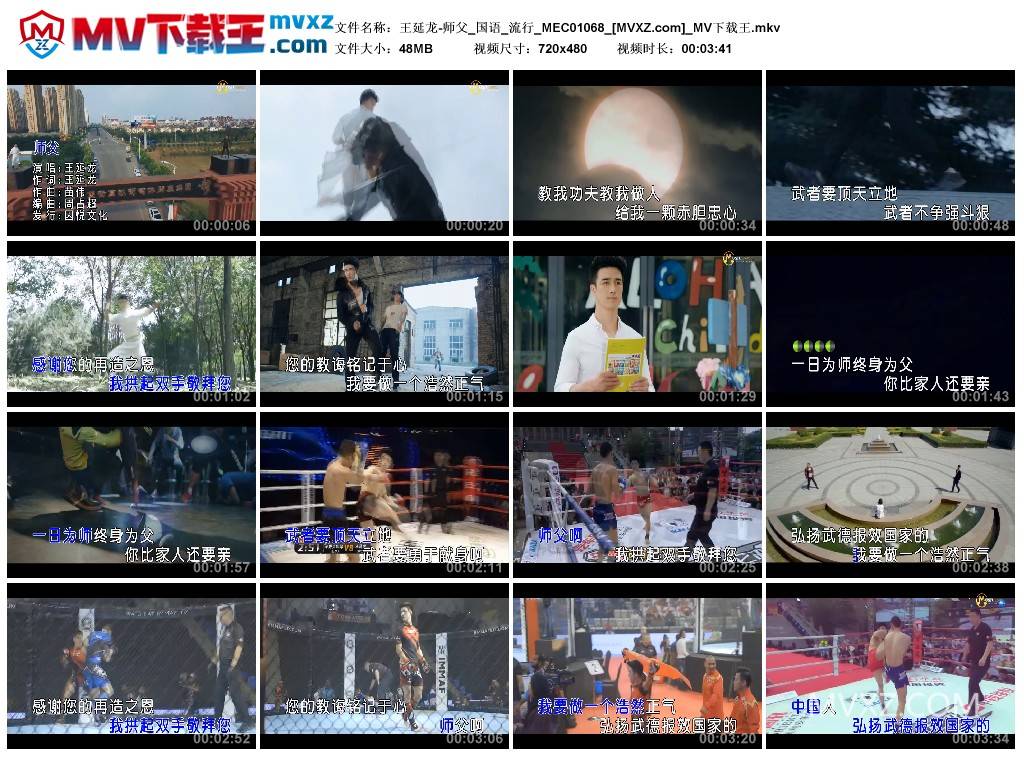 王延龙-师父_国语_流行_MEC01068